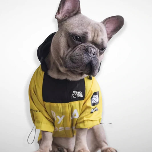 B.A.T.N. The Dog Face Dog Clothes - Jacket Sweater, Wind breaker Hoodie for Small Medium and Large Dog - Pet Clothing
