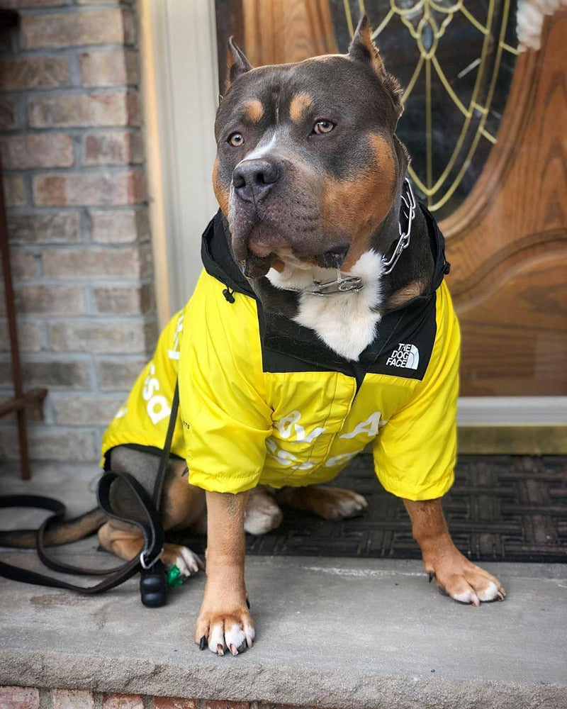B.A.T.N. The Dog Face Dog Clothes - Jacket Sweater, Wind breaker Hoodie for Small Medium and Large Dog - Pet Clothing