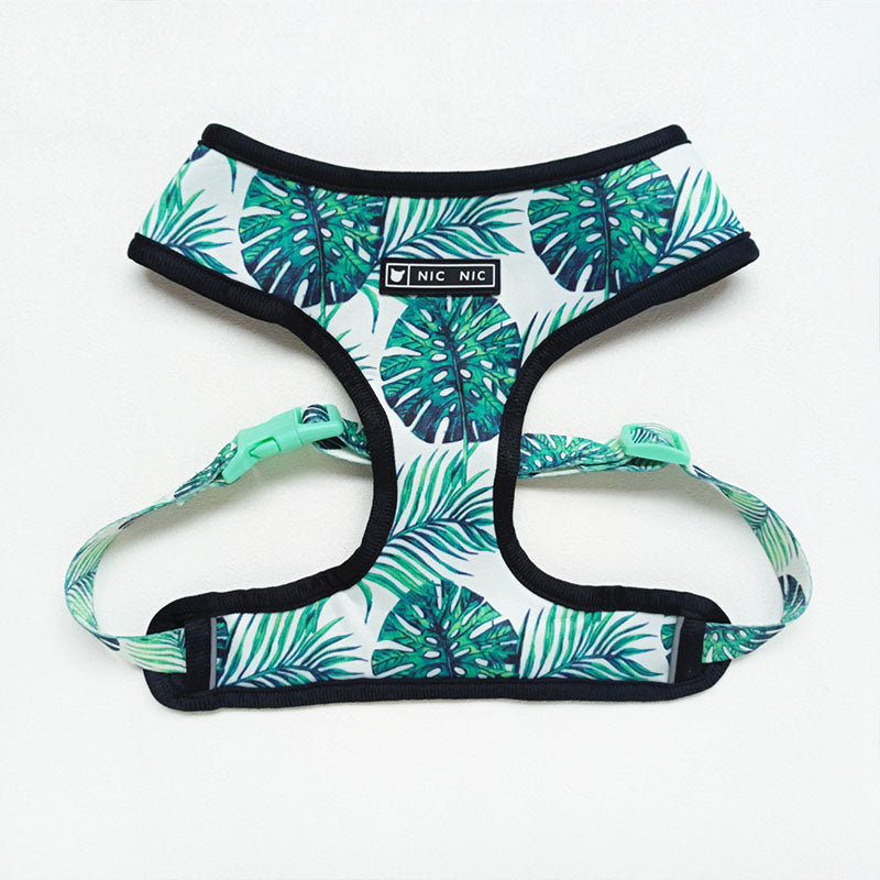 Tropical Palm Front Pop Pattern Leash and Harness Set
