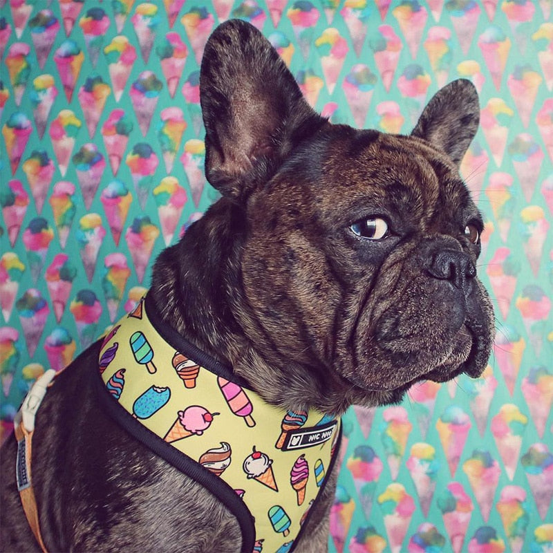 Pop Pattern Ice Cream Cone Leash and Harness Set