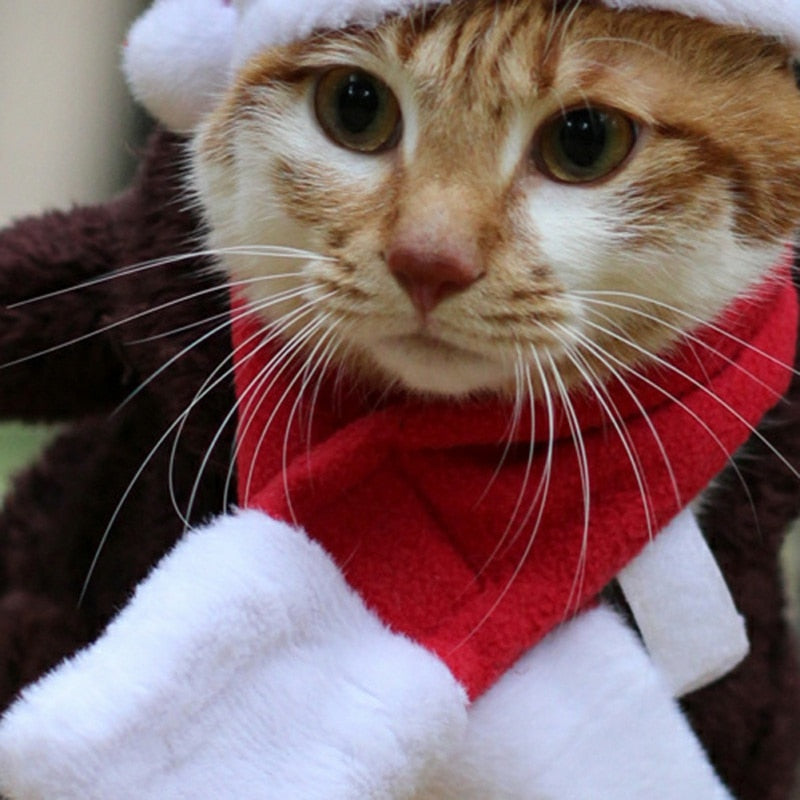 Pet Santa Hat And Scarf Christmas Costume Accessories Puppy Cat Christmas Dress Up Scarf Hat Set Winter Warm Pet Accessories