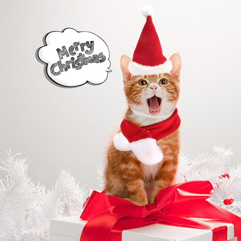 Pet Santa Hat And Scarf Christmas Costume Accessories Puppy Cat Christmas Dress Up Scarf Hat Set Winter Warm Pet Accessories