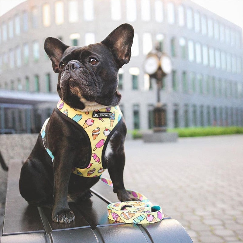 Pop Pattern Ice Cream Cone Leash and Harness Set