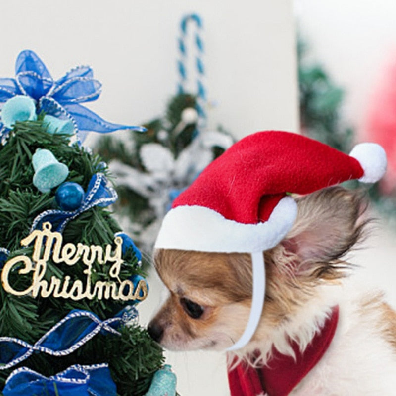 Pet Santa Hat And Scarf Christmas Costume Accessories Puppy Cat Christmas Dress Up Scarf Hat Set Winter Warm Pet Accessories