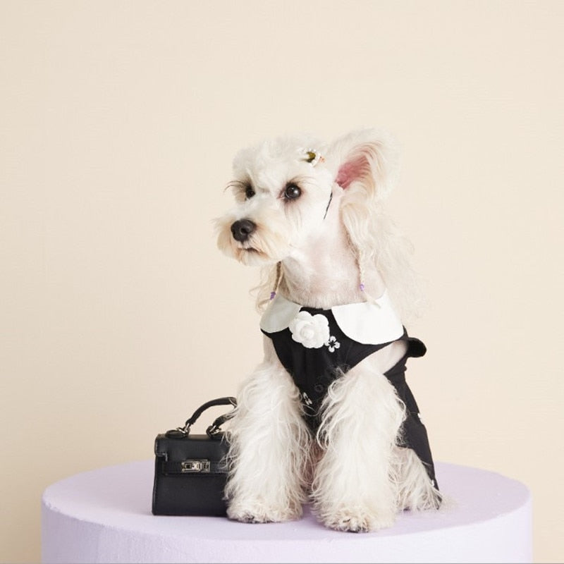 Chewnel Dior White Collared Classic Dress
