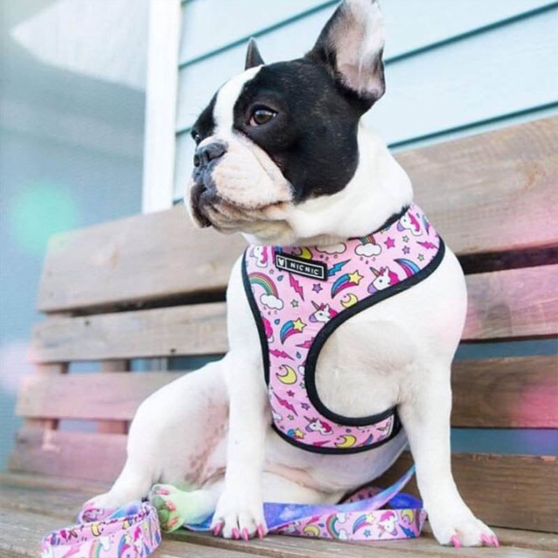 Pop Pattern Pink Magic and Unicorns Leash and Harness Set