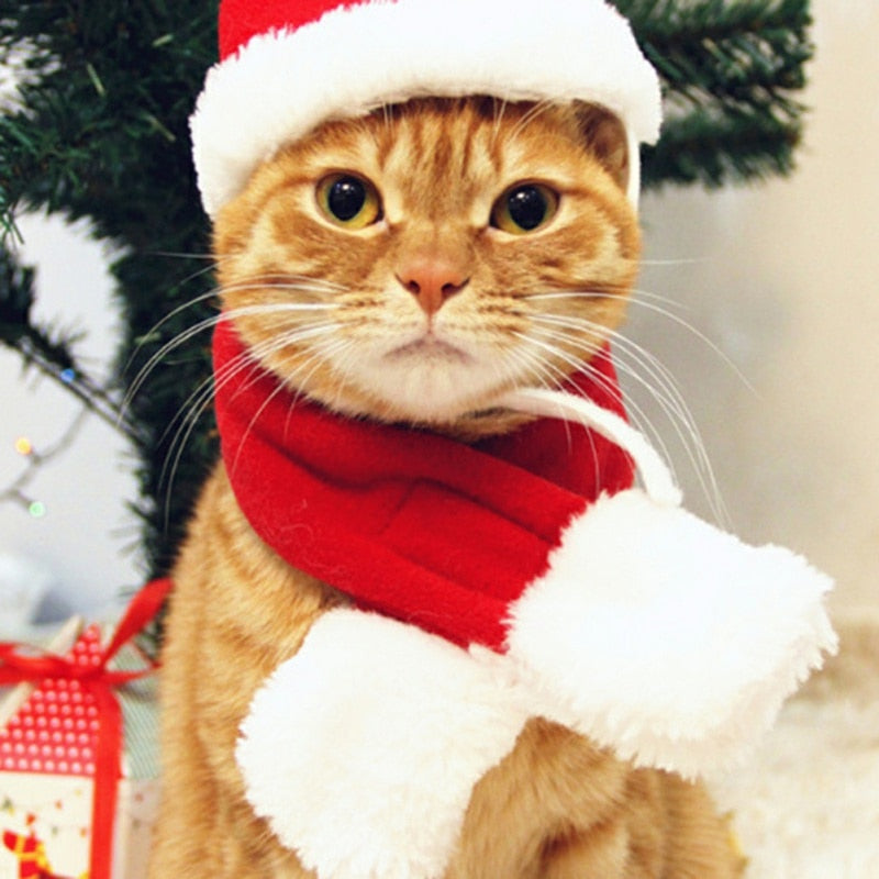 Pet Santa Hat And Scarf Christmas Costume Accessories Puppy Cat Christmas Dress Up Scarf Hat Set Winter Warm Pet Accessories