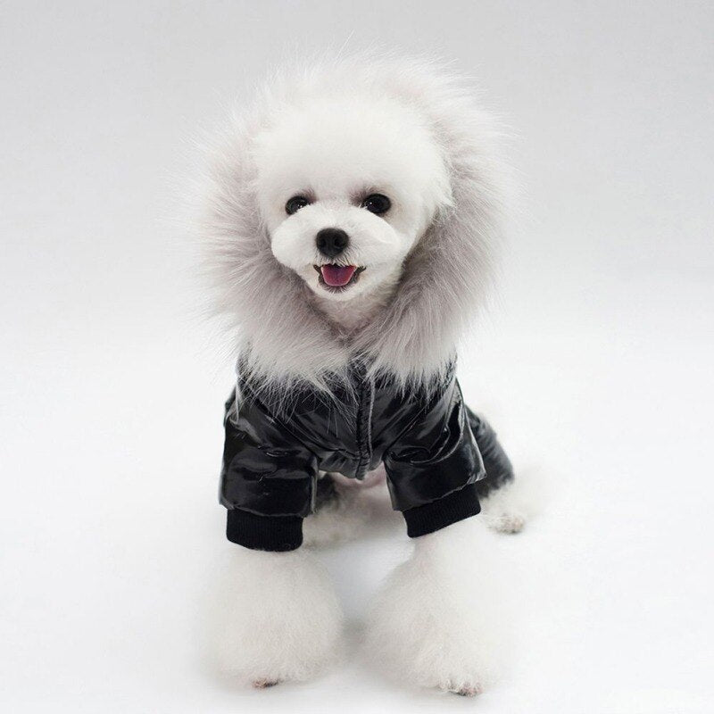Winter Warm Dog Jacket Waterproof Pet Clothes For Dog Fleece Lining Hooded Coat Dog Jumpsuit Snowsuit For Chihuahua Yorkies