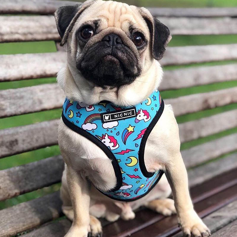 Pop Pattern Magic and Unicorns Leash and Harness Set