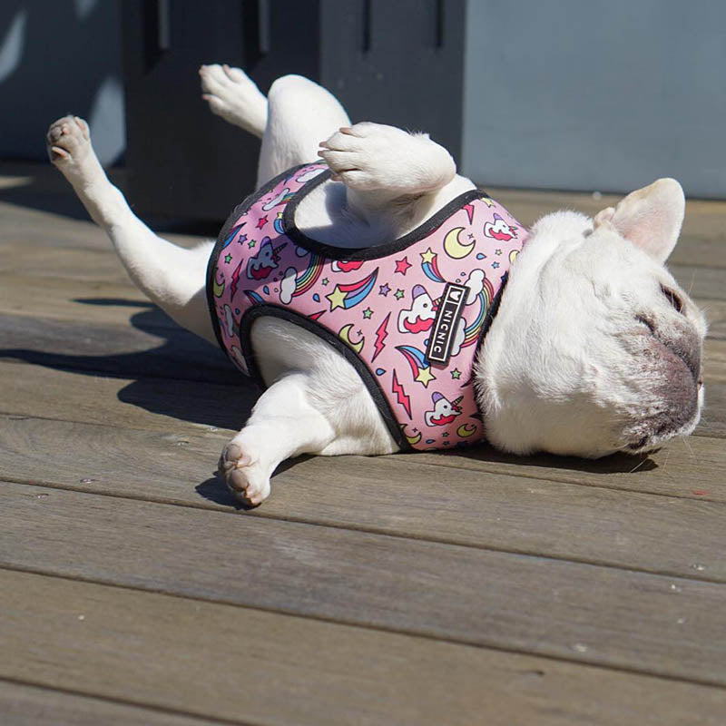 Pop Pattern Pink Magic and Unicorns Leash and Harness Set