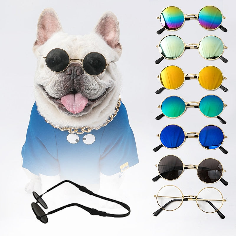 Dog Mod Artiste Sunglasses with Loop Strap Accessory