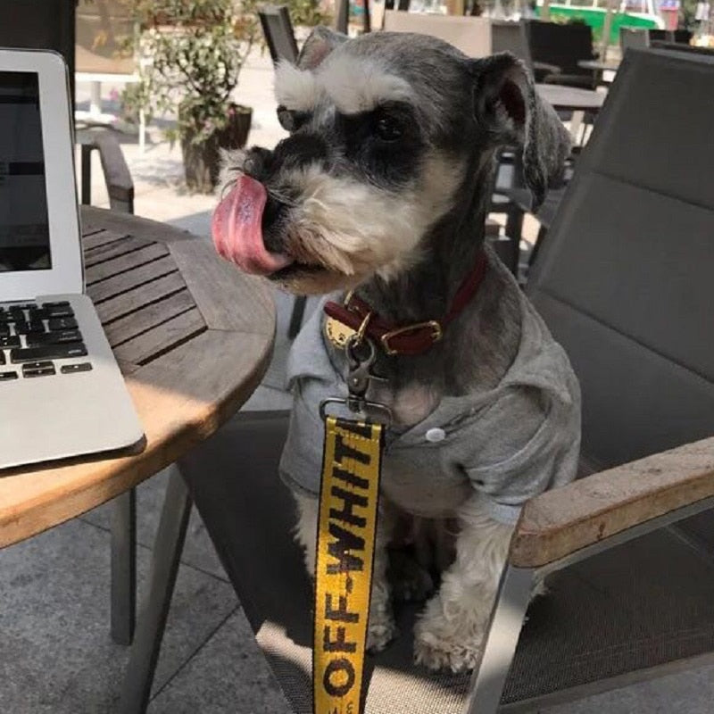 Off-White Hype Beast Ultra-Runway Collar Leash and Harness