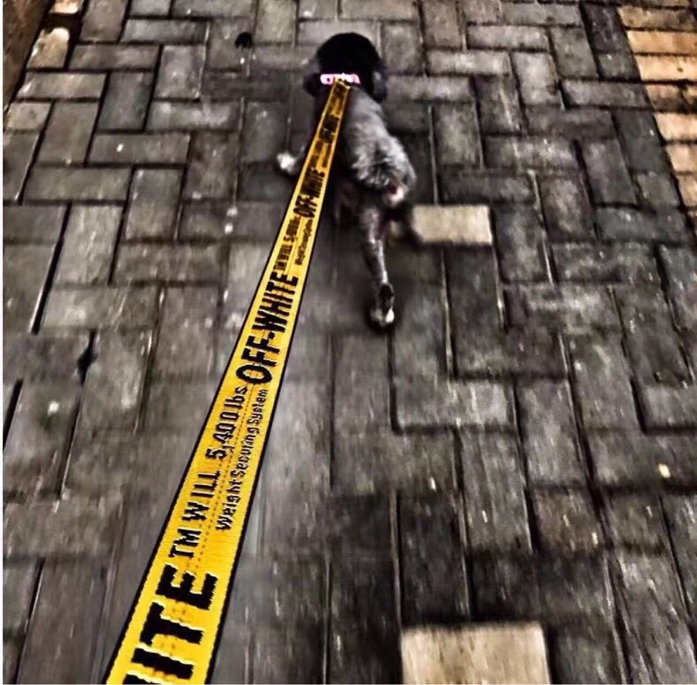 Off-White Hype Beast Ultra-Runway Collar Leash and Harness