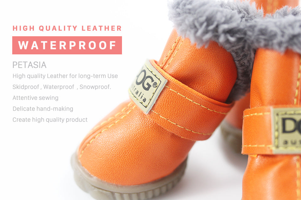 Designer Dog UGG Imitation Booties Shoes