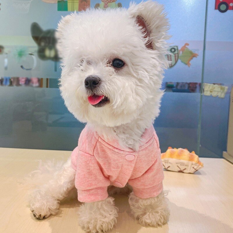 Warm Pet Dog Clothes Cute Bear Cotton Pullover Dog Hoodies Puppy Dog Cat Coat Sweatshirt Dog Shirt Jacket Pets Cat Clothing