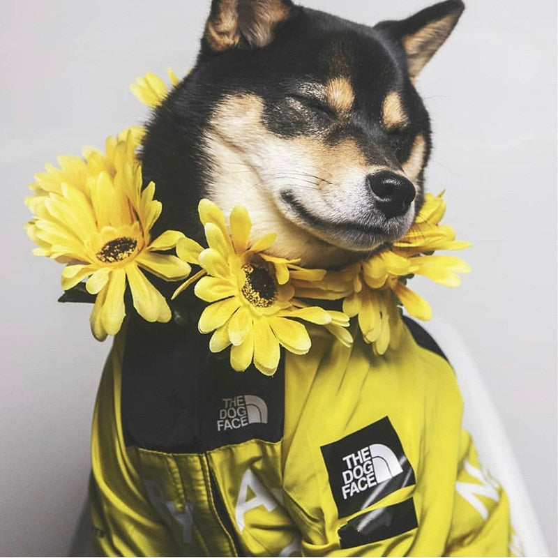 B.A.T.N. The Dog Face Dog Clothes - Jacket Sweater, Wind breaker Hoodie for Small Medium and Large Dog - Pet Clothing