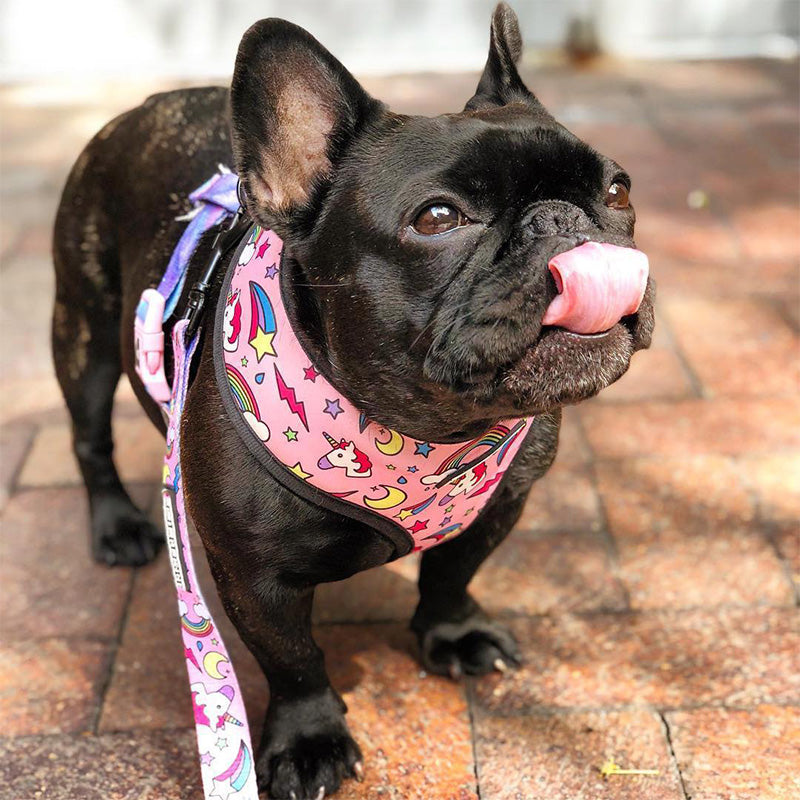 Pop Pattern Pink Magic and Unicorns Leash and Harness Set