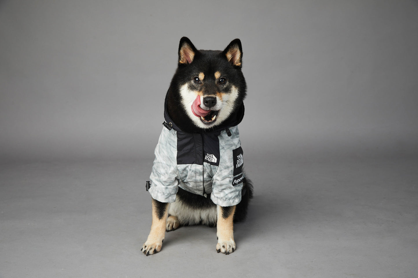 The Dog Face Windproof and Rainproof New Dog Large Dog Raincoat in the North, Dog Pet Cool Jacket