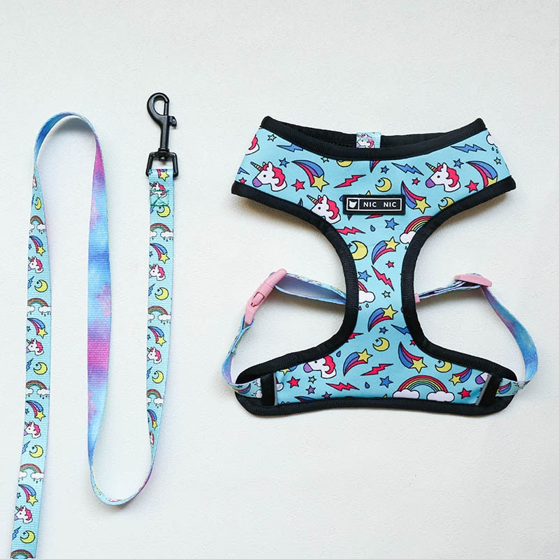 Pop Pattern Magic and Unicorns Leash and Harness Set
