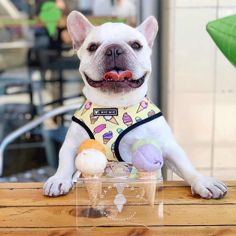 Pop Pattern Ice Cream Cone Leash and Harness Set