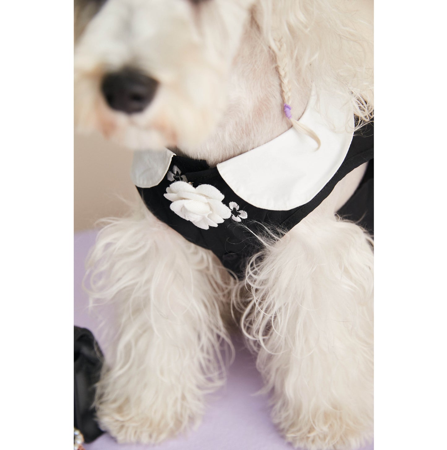 Chewnel Dior White Collared Classic Dress