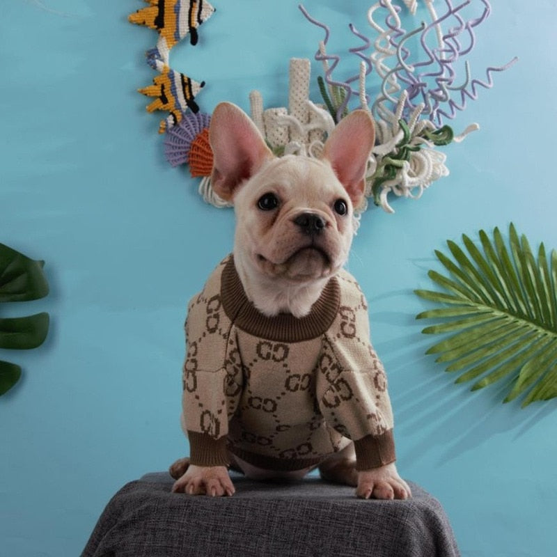 Pawcci Monogram Sweater