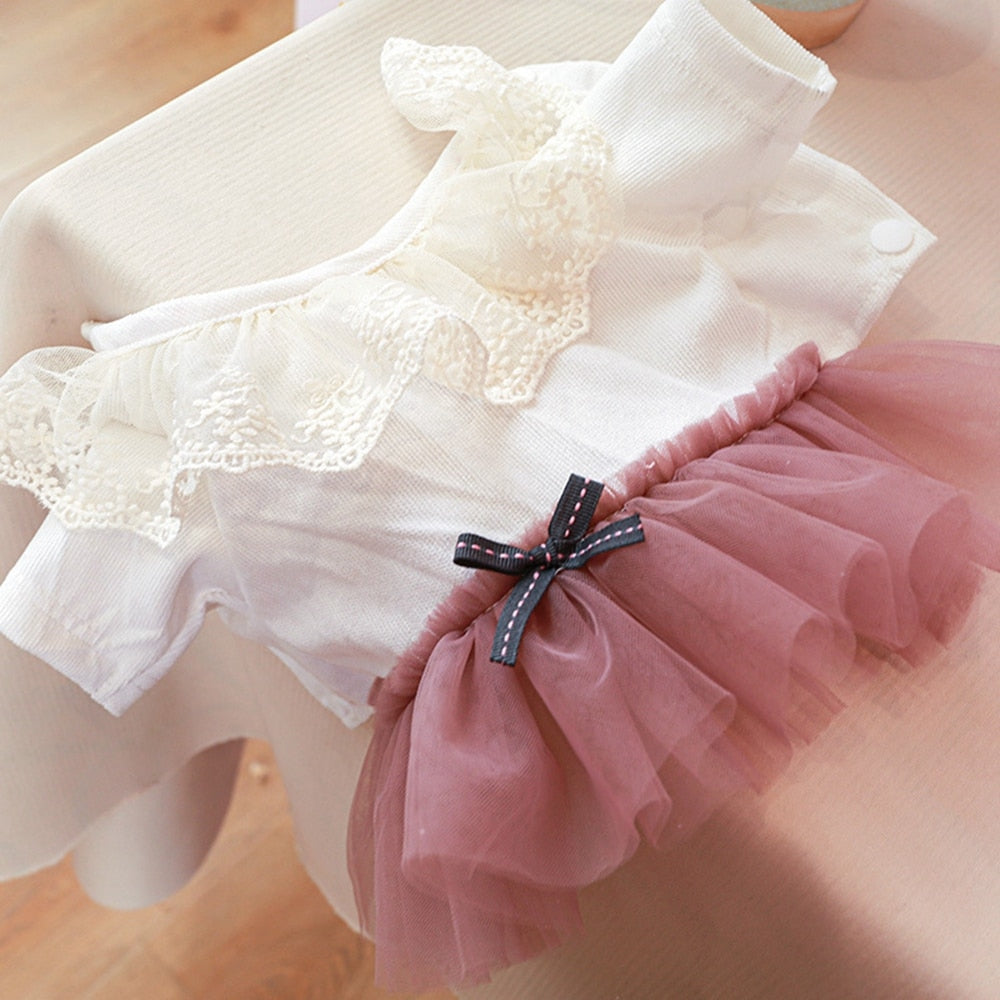 Cute Lace Dog Princess Dress Summer Pet Dog Clothes For Small Dog Chihuahua Yorkies Wedding Dress Gauze Tutu Dress Pet Outfits