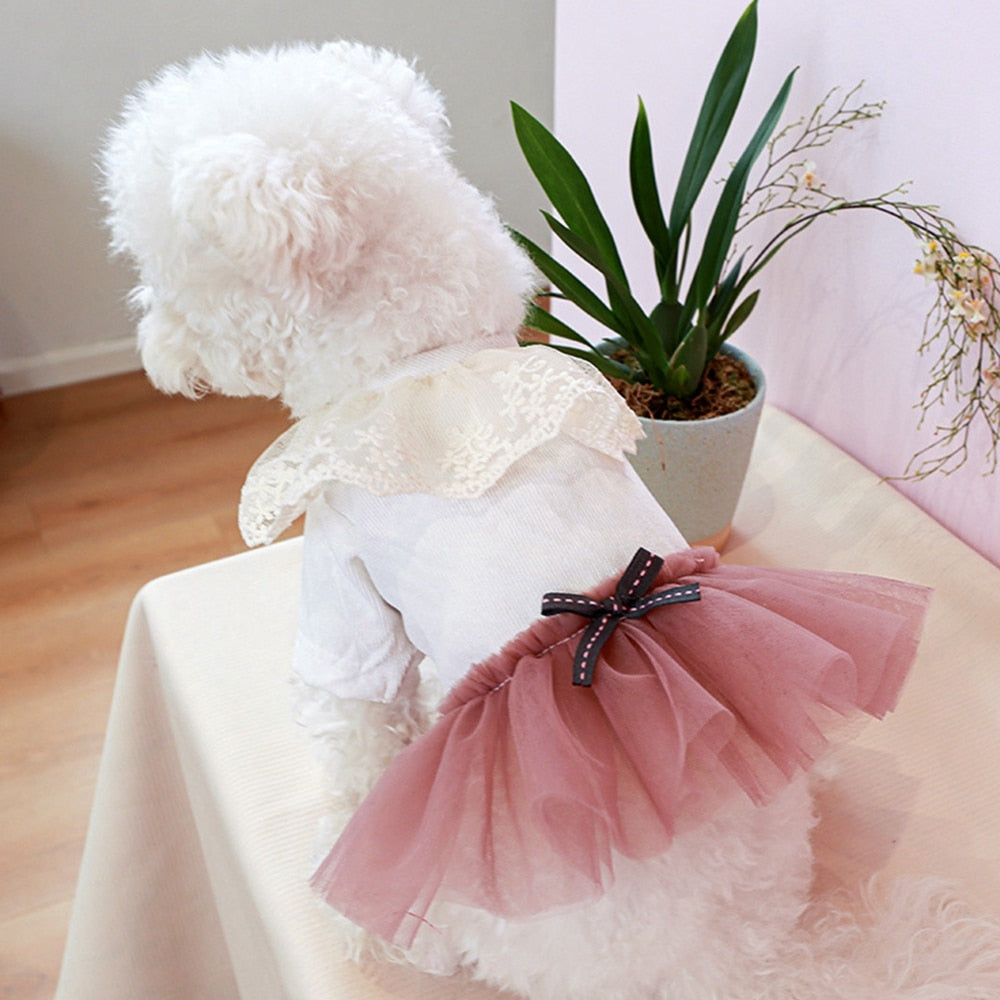 Cute Lace Dog Princess Dress Summer Pet Dog Clothes For Small Dog Chihuahua Yorkies Wedding Dress Gauze Tutu Dress Pet Outfits