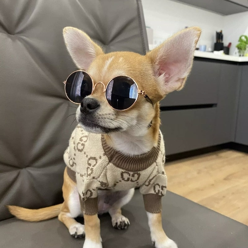 Pawcci Monogram Sweater