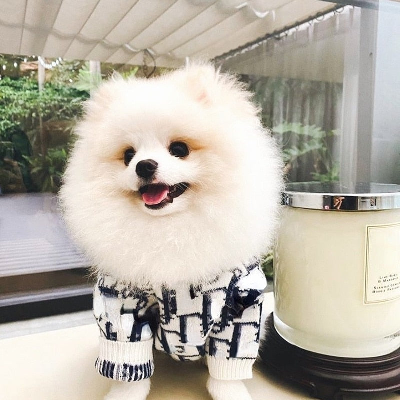 Dior Inspired Monogrammed Sweater