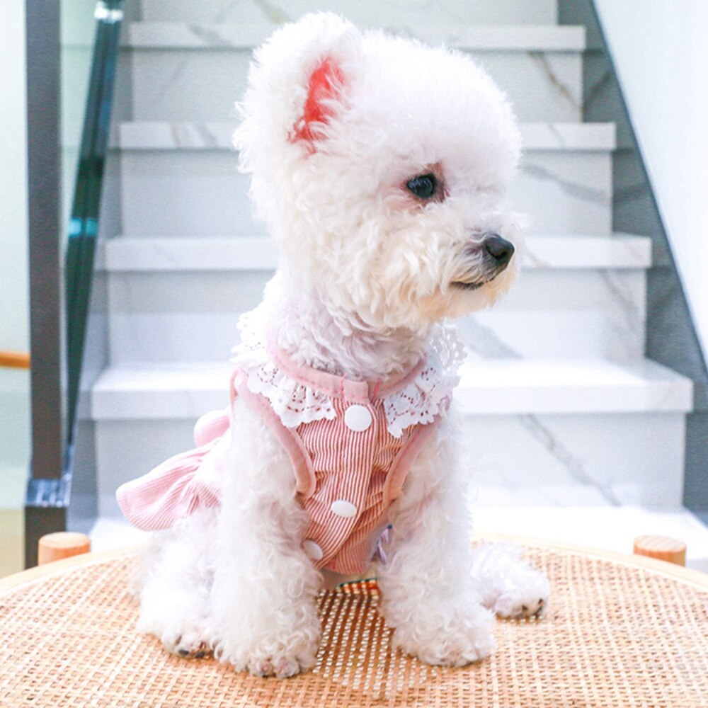 Cute Rabbit Printed Dog Dresses Summer Pet Dog Clothes Lovely Lace Collar Design Small Dog Puppy Cat Princess Dress Clothing