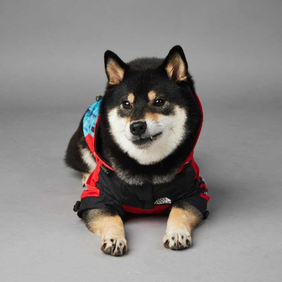 The Dog Face Dog Clothes Red Liberty - Jacket Sweater, Wind breaker Hoodie for Small Medium and Large Dog - Pet Clothing