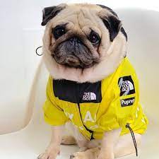 B.A.T.N. The Dog Face Dog Clothes - Jacket Sweater, Wind breaker Hoodie for Small Medium and Large Dog - Pet Clothing