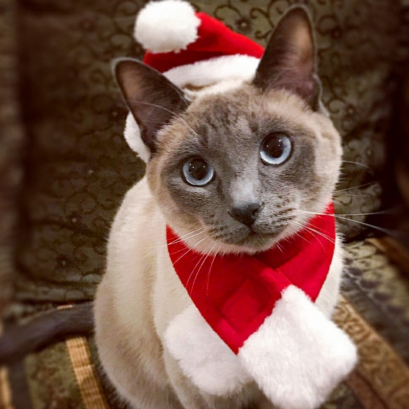 Pet Santa Hat And Scarf Christmas Costume Accessories Puppy Cat Christmas Dress Up Scarf Hat Set Winter Warm Pet Accessories