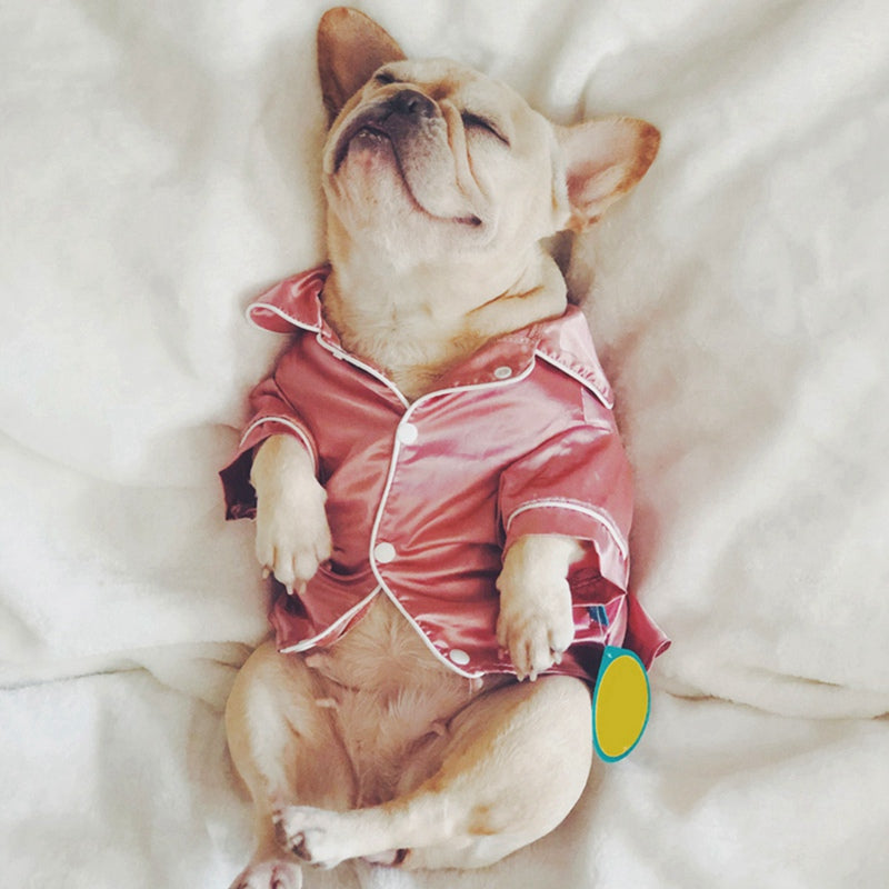 Satin French Dog Pajamas