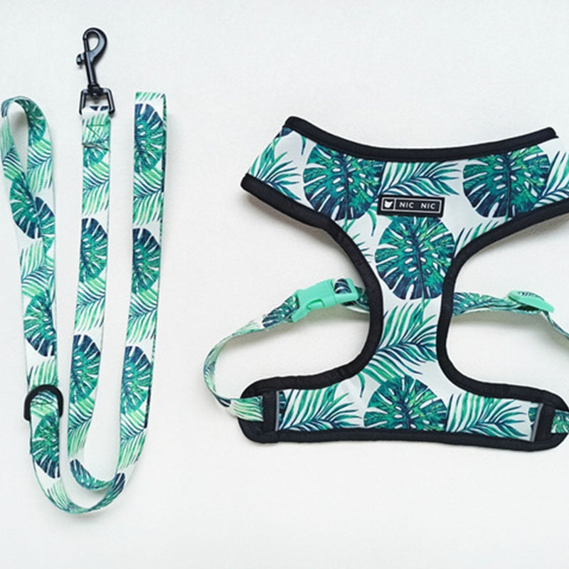 Tropical Palm Front Pop Pattern Leash and Harness Set