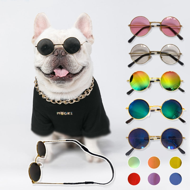 Dog Mod Artiste Sunglasses with Loop Strap Accessory