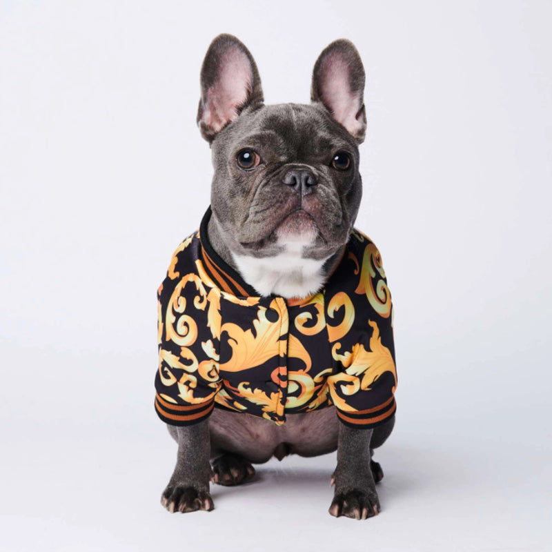 Luxury Frenchie Embroidered Designer Dog Jacket