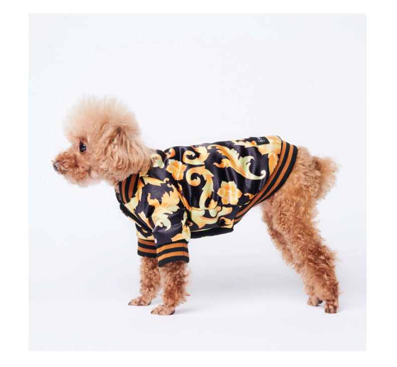 Luxury Frenchie Embroidered Designer Dog Jacket