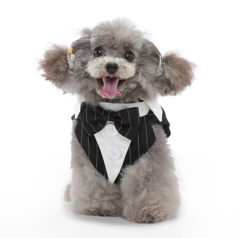 Gentleman Dog Clothes Wedding Suit Plaid Formal Shirt For Small Dogs Bowtie Tuxedo Pet Outfit Halloween Christmas Costume