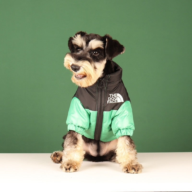 The Dog Face Orange Embroidered Puffer Jacket for Dogs