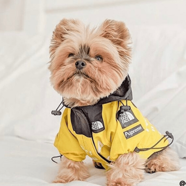 B.A.T.N. The Dog Face Dog Clothes - Jacket Sweater, Wind breaker Hoodie for Small Medium and Large Dog - Pet Clothing